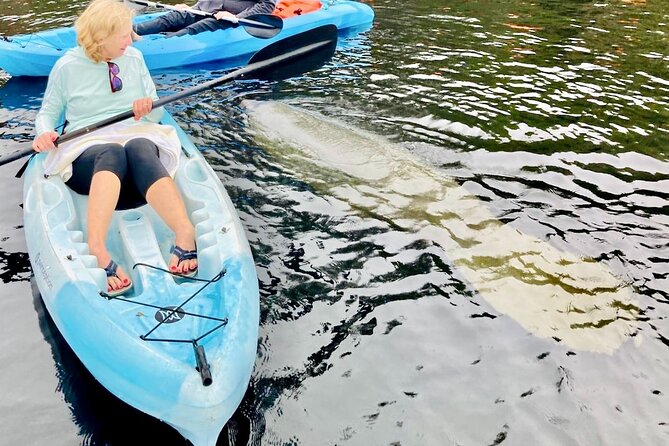 Dolphin, Manatee and SeaTurtle SUP Adventure Tour of St Augustine - The St Augustine Lighthouse and Maritime Museum finish