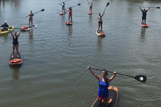 Dolphin, Manatee and SeaTurtle SUP Adventure Tour of St Augustine - Price and value: $65 for gear, guide, and a wildlife corridor