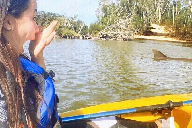 Dolphin & Manatee Kayaking Tour in Orlando Area - Key moments you should care about