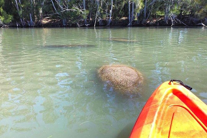 Dolphin & Manatee Kayaking Tour in Orlando Area - Where the tour starts on Florida’s Space Coast edge