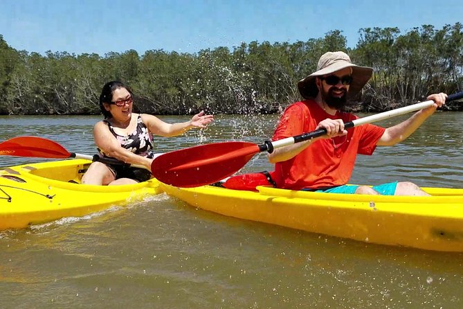 Dolphin & Manatee Kayaking Tour in Orlando Area - Who should book this kayak tour (and who might not)