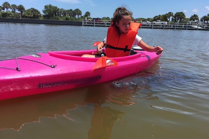 Dolphin & Manatee Kayaking Tour in Orlando Area - Handy tips so you don’t spend your day thinking about gear