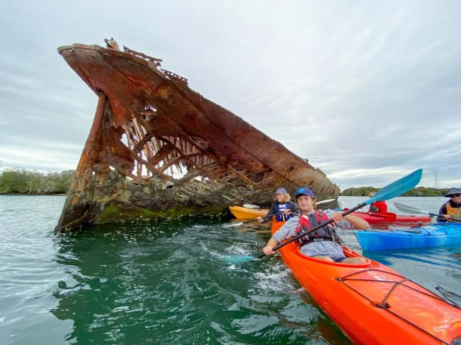Dolphin Sanctuary and Ships Graveyard Kayak Tour - Key Things I’d Put at the Top