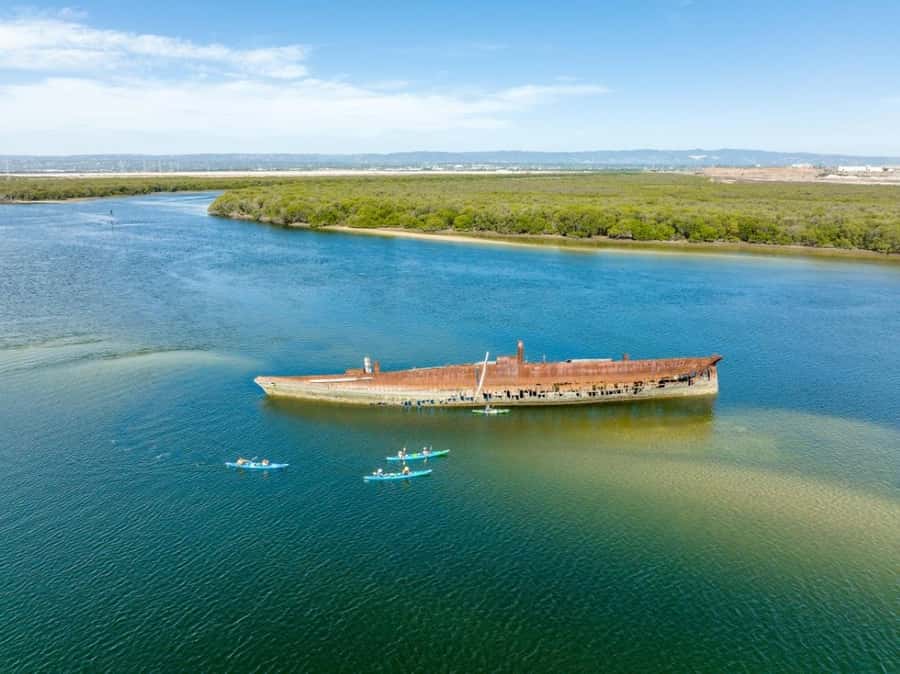 Dolphin Sanctuary and Ships Graveyard Kayak Tour - Where You Kayak: Port Adelaide’s Mangroves and the Ships Graveyard