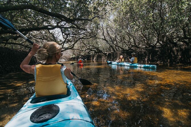 Dolphin Sanctuary Kayak Tour Adelaide - Where you start: Garden Island and the lead-in to the water