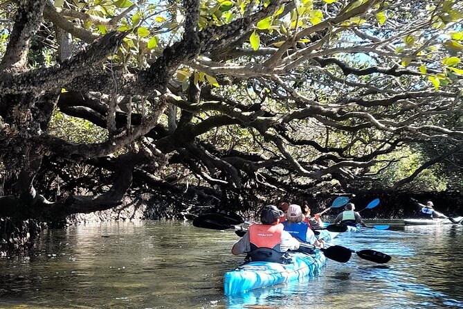 Dolphin Sanctuary Kayak Tour Adelaide - Shipwreck time: cool photos, but tides decide
