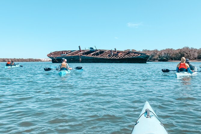Dolphin Sanctuary Kayak Tour Adelaide - Who this Adelaide kayak tour is best for