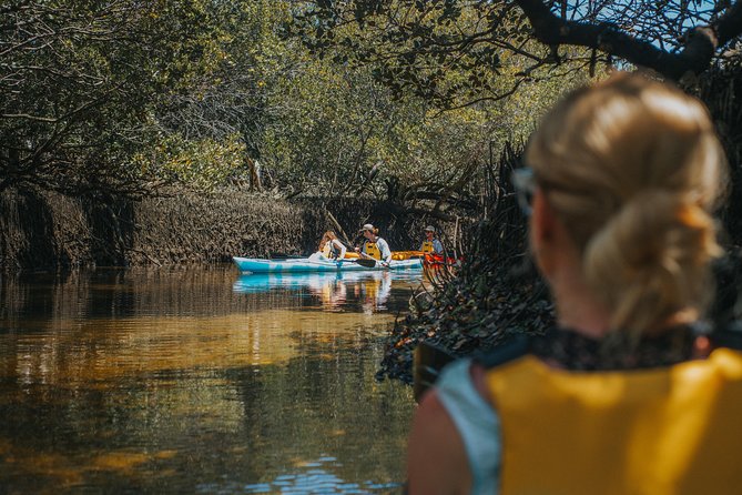 Dolphin Sanctuary Kayak Tour Adelaide - Families and kids: the age rules you must plan around