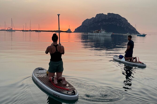 Dolphin-spotting SUP tour with Golfo Aranci aperitif - Key things that make this SUP tour worth your time