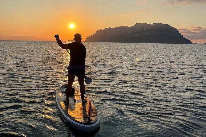 Dolphin-spotting SUP tour with Golfo Aranci aperitif - Sunrise breakfast vs sunset aperitif: choosing the right mood