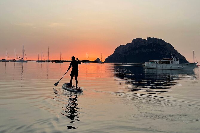 Dolphin-spotting SUP tour with Golfo Aranci aperitif - Price check: does $71.15 make sense for this kind of SUP day?