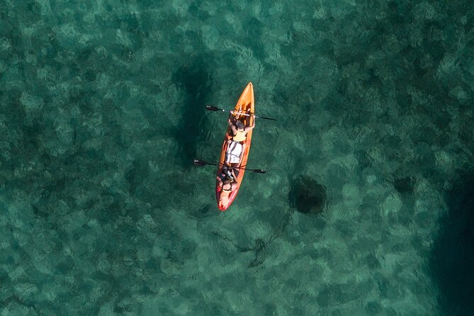 Double Kayak Hire - 4 Hours - Manly Kayak Centre: where your 4-hour paddle actually starts