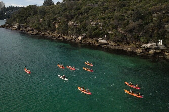 Double Kayak Hire - 4 Hours - Shared paddling on a double kayak: the fun and the trade-off