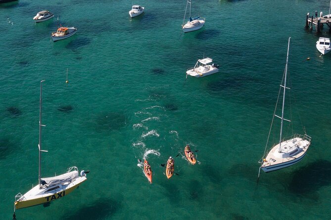 Double Kayak Hire - 4 Hours - Who should book this 4-hour hire (and who might not love it)