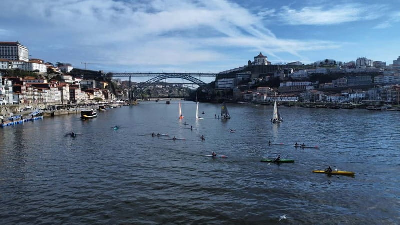 Douro River Kayak or Standup Paddleboard Tour - From Marina do Freixo to the River: Why This Start Matters