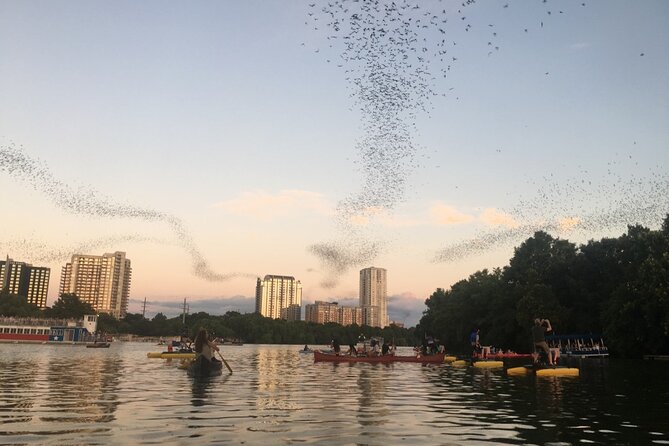 Downtown Austin Sunset Kayak Tour with 1.5 Million Bats - Key Points for Your Austin Bucket List