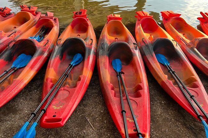 Downtown Austin Sunset Kayak Tour with 1.5 Million Bats - Stop 2: Downtown Austin at Sunset, Then After-Dark City Lights