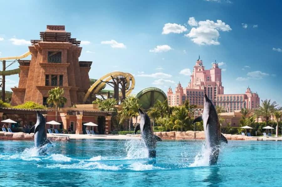 Dubai: Atlantis Dolphin Kayak Trip & Aquaventure Waterpark - Dolphin kayak at Atlantis The Palm: what you’re really doing