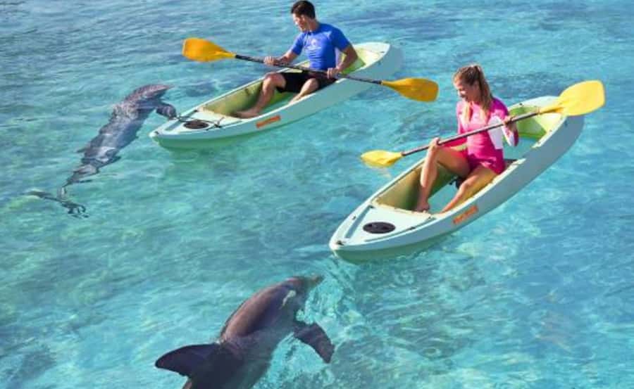 Dubai: Atlantis Dolphin Kayak Trip & Aquaventure Waterpark - Aquaventure Waterpark after kayaking: how to plan your time