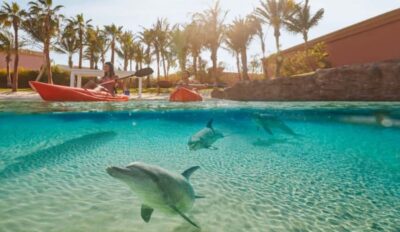 Dubai: Atlantis Dolphin Kayak Trip & Aquaventure Waterpark - The dolphin-focused guidance that makes the difference