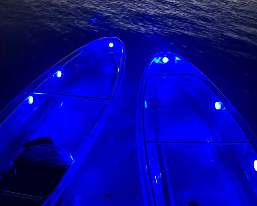 Dubai: Night Kayaking Tour - Price and Value: Is $112 Worth Night Kayaking With a Small Group?