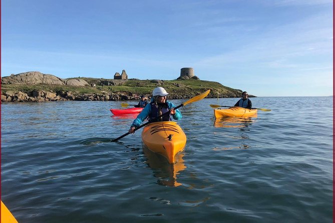 Dublin Bay Seal Kayaking Safari at Dalkey - Key highlights you will feel right away