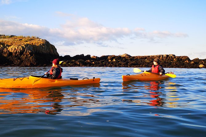 Dublin Bay Seal Kayaking Safari at Dalkey - Dalkey Island stop: church ruins and Martello tower views