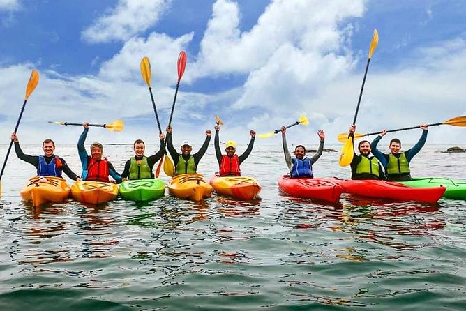 Dublin Bay Seal Kayaking Safari at Dalkey - How hard is it: fitness level, swimming, and windy days