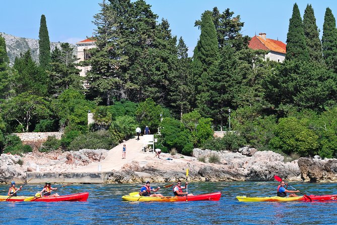Dubrovnik: Sea Kayaking & Snorkeling Tour - Lokrum Island: scenery from the water, not a walking stop