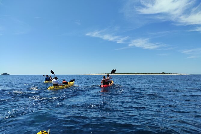 Dugi Otok - half day kayak adventure - Group size and ACA-certified guidance: safety without the stiff vibe