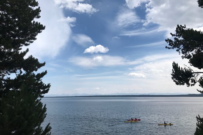 Early Morning Guided Kayak Tour - Wildlife and geothermal viewing: what you should look for on the shoreline