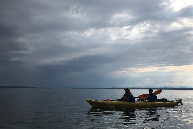 Early Morning Guided Kayak Tour - The land stops: Bridge Bay, Old Faithful area, Lewis Lake, and Rockefeller Parkway