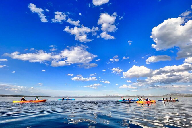 Early Morning Guided Kayak Tour - Price and value: what you’re paying for at $125