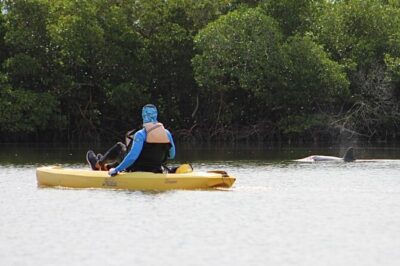 Easy Ride Pedal Kayak Tour Marco Island & Naples (Pedal or Paddle - Capri Paddlecraft Park Check-In and What Happens Before You Hit the Water