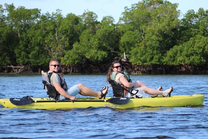 Easy Ride Pedal Kayak Tour Marco Island & Naples (Pedal or Paddle - Wildlife Sightings and When Dolphins or Manatees Show Up