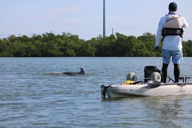 Easy Ride Pedal Kayak Tour Marco Island & Naples (Pedal or Paddle - Guide Rammel’s Eco Stories: How You Learn and Still Enjoy the Ride