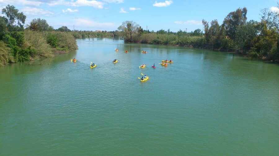 Ebro Delta: Guided Kayak Tour to Gracia Island - Key things to know before you paddle to Gracia Island