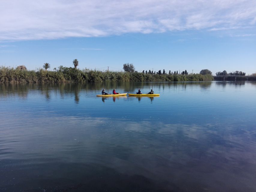Ebro Delta: Guided Kayak Tour to Gracia Island - Why Kayak the Ebro Delta Through Balada to Gracia Island