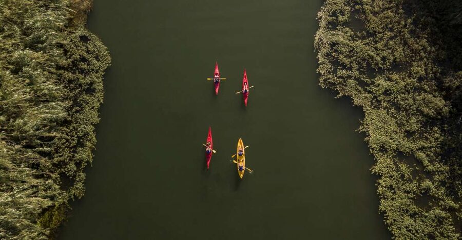 Ebro Delta: Guided Kayak Tour to Gracia Island - Cruising Calm Water: Poplars, Tamarinds, and River Wildlife