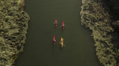 Ebro Delta: Guided Kayak Tour to Gracia Island - Meeting in Balada and Getting Your Kayak Basics Fast