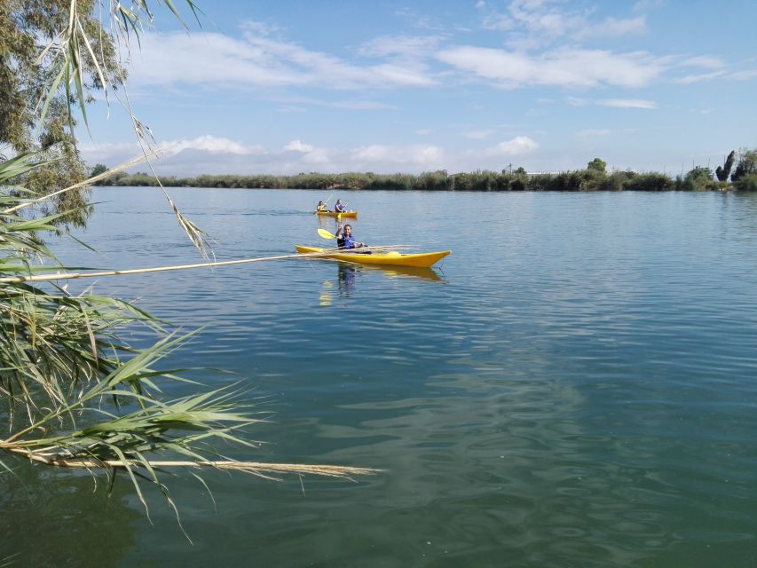 Ebro Delta: Guided Kayak Tour to Gracia Island - Crossing the Ebro River and Reading the Delta Biosphere