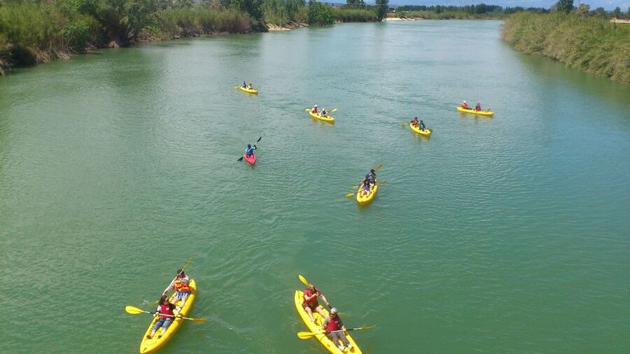 Ebro Delta: Guided Kayak Tour to Gracia Island - How Hard Is It Really? Swim Skills and Pacing