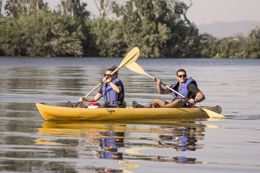 Ebro Delta: Guided Kayak Tour to Gracia Island - What You Get for $29: Value, Gear, and Guide Time