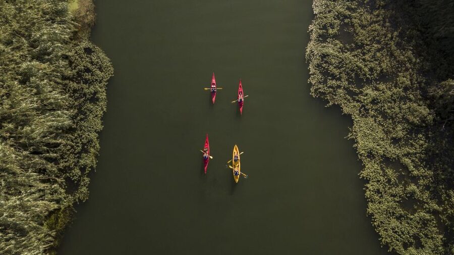 Ebro Delta: Guided Kayak Tour to Gracia Island - Meeting in Balada and Getting Your Kayak Basics Fast
