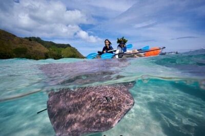 Eco guided excursion to the lagoon of Moorea in a transparent kayak Afternoon 2h - The marine-life “watching setup”: turtles, rays, fish, and ID slates