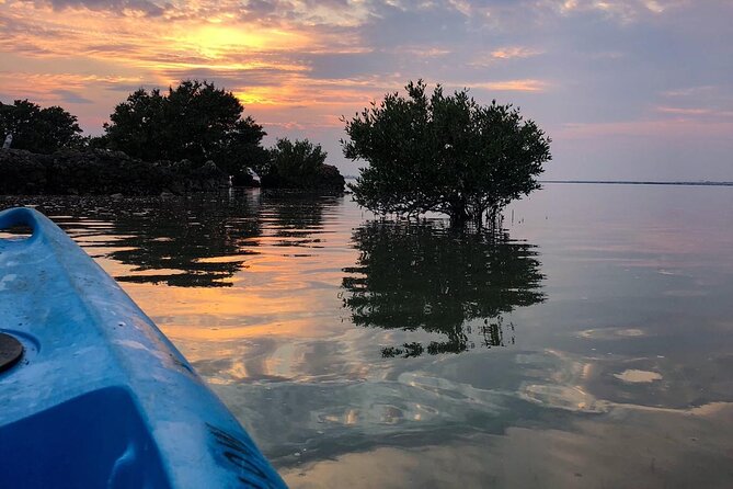 Eco Kayaking Adventure – Mangrove Exploration at Purple Island - Key Highlights You’ll Feel Right Away