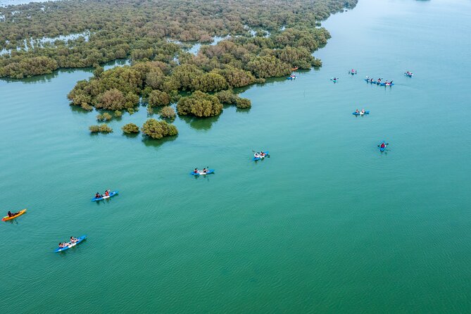 Eco Kayaking Adventure – Mangrove Exploration at Purple Island - Group Size and Pacing: How It Feels in Practice