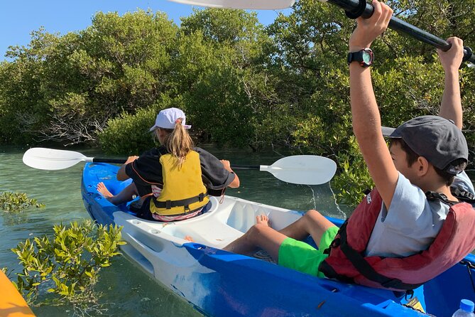 Eco Kayaking Adventure – Mangrove Exploration at Purple Island - Getting to the Camp From Doha (And Why It Can Slow You Down)