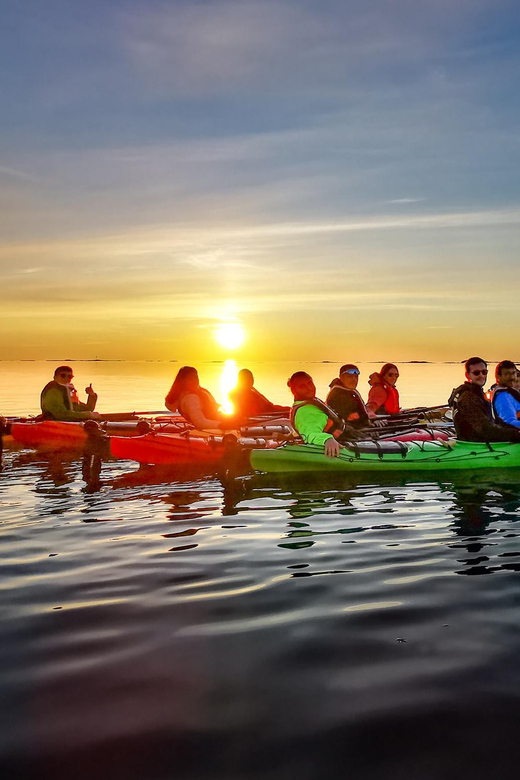 Eggum: Lofoten Islands Midnight Sun Kayak Tour - Wildlife on Lofoten water: seabirds, eagles, and respect at a distance