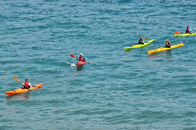 Elafiti Islands Sea kayaking: Full-Day Bike and Kayak tour on Lopud and Šipan - Swap to Bikes in Sudurad: Šipan’s 6 km That Feels Like More